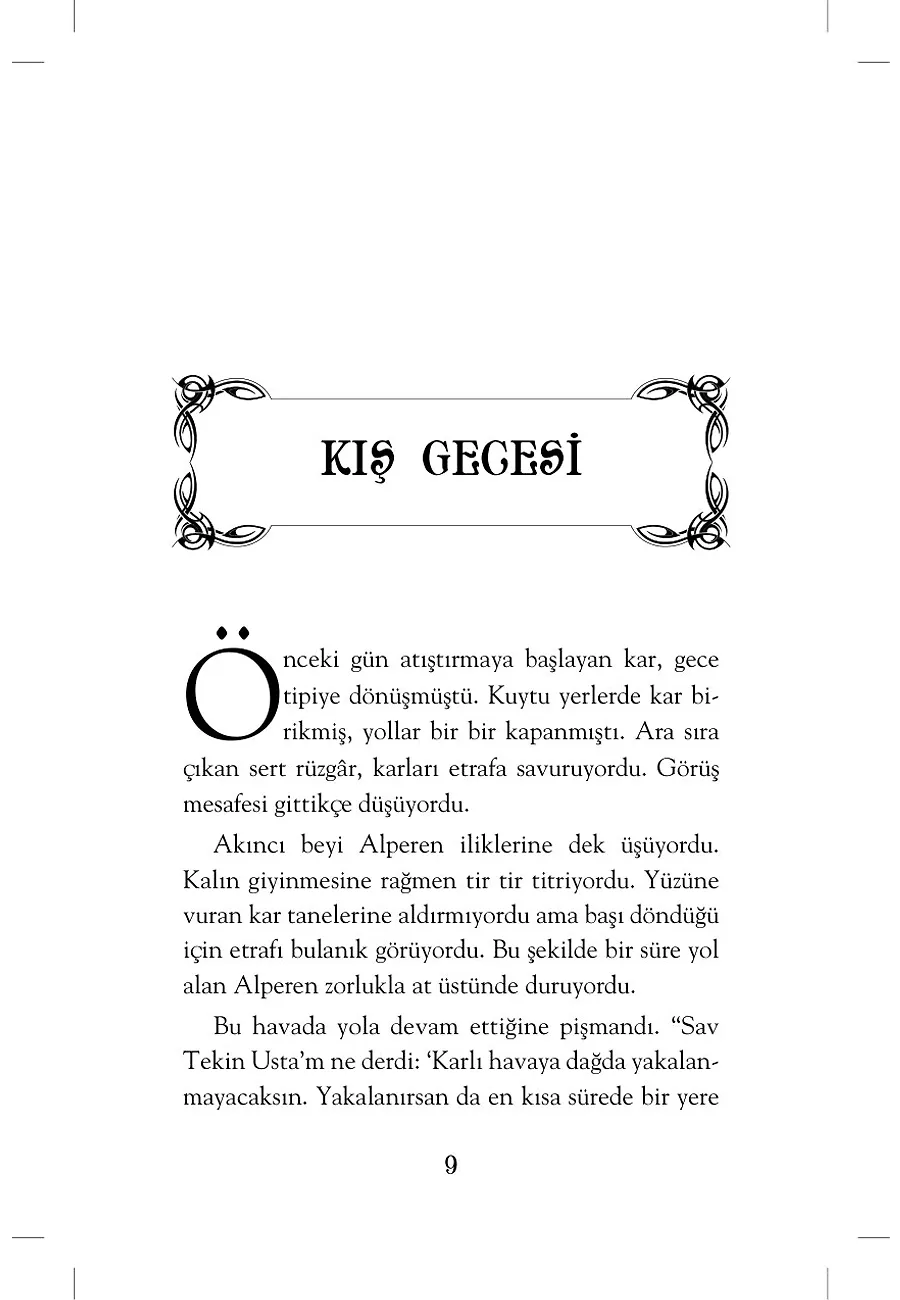 Alparslan'ın Akıncısı - Özgürlük Savaşı – Sayfa 5