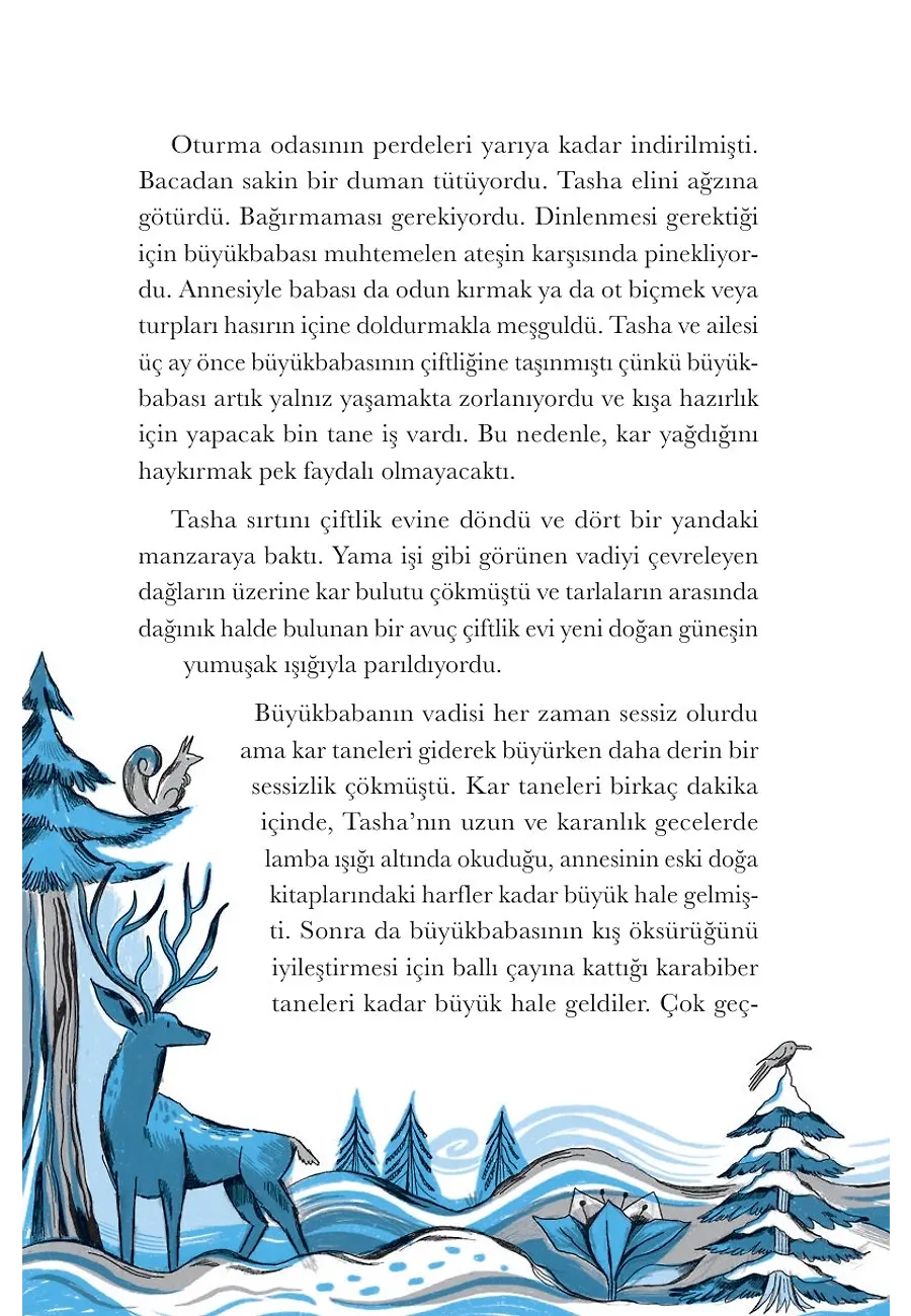 Kardan Kız (Ciltli) – Sayfa 2