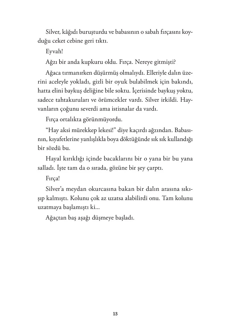 Kaplumbağa Dolunayı (Ciltli Şömizli) – Sayfa 5