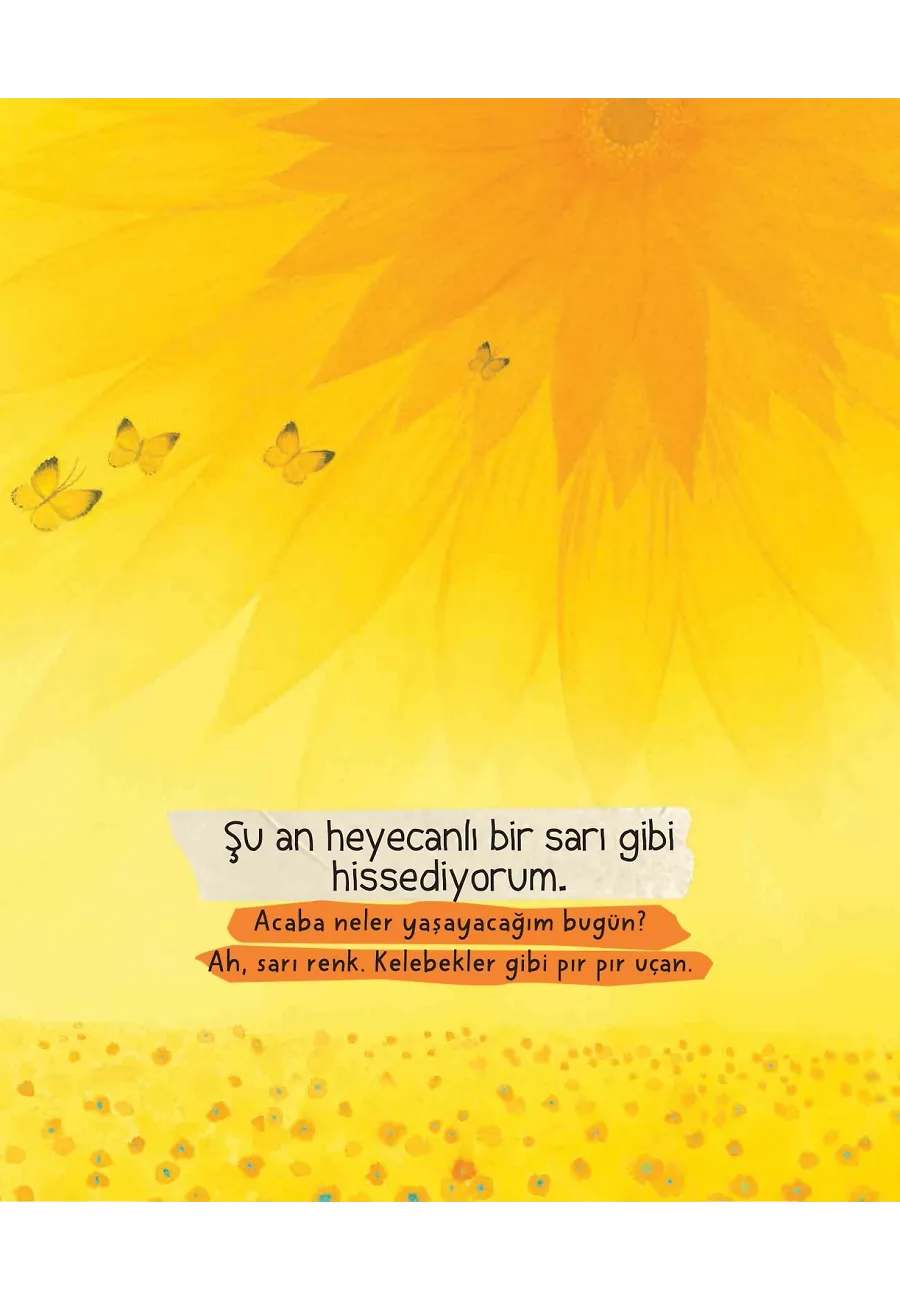 Duyguların Ne Renk? – Sayfa 6