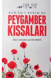 Kur'an-I Kerim'de Peygamber Kıssaları