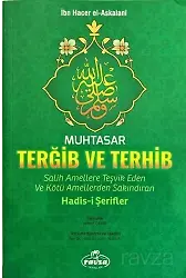 Muhtasar Et-Tergib Ve't-Terhib Salih Amellere Teşvik Eden Ve Kötü Amellerden Sakındıran Hadisi Şerifler